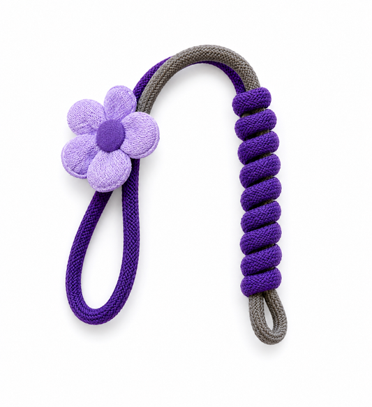 Siplab Carry Handle – Mix Match & Make It Yours